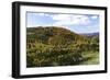 Mountain Vineyard 1-Alan Hausenflock-Framed Photographic Print