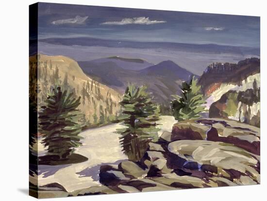 Mountain Vista, at Lassen Volcanic National Park, 2000-Howard Ganz-Stretched Canvas