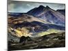 Mountain Vista, Iceland-Adam Jones-Mounted Photographic Print