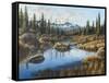 Mountain Vista-Bruce Dumas-Framed Stretched Canvas