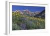 Mountain Wildflowers-DLILLC-Framed Photographic Print