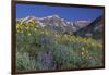 Mountain Wildflowers-DLILLC-Framed Photographic Print