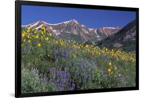 Mountain Wildflowers-DLILLC-Framed Photographic Print