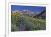 Mountain Wildflowers-DLILLC-Framed Photographic Print