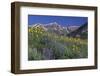 Mountain Wildflowers-DLILLC-Framed Photographic Print