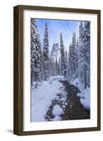 Mountain Wonderland-Michael Blanchette Photography-Framed Giclee Print