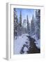 Mountain Wonderland-Michael Blanchette Photography-Framed Giclee Print