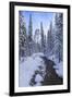 Mountain Wonderland-Michael Blanchette Photography-Framed Giclee Print