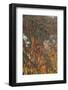 Mountain wood in autumn-By-Framed Photographic Print