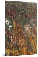 Mountain wood in autumn-By-Mounted Premium Photographic Print