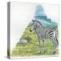 Mountain Zebra Equus Zebra-null-Stretched Canvas