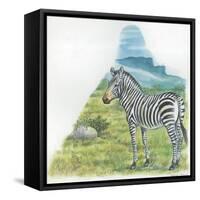 Mountain Zebra Equus Zebra-null-Framed Stretched Canvas