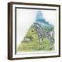 Mountain Zebra Equus Zebra-null-Framed Giclee Print