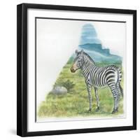 Mountain Zebra Equus Zebra-null-Framed Giclee Print