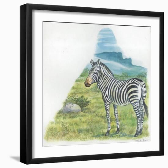 Mountain Zebra Equus Zebra-null-Framed Giclee Print