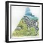 Mountain Zebra Equus Zebra-null-Framed Giclee Print