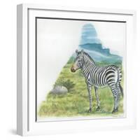 Mountain Zebra Equus Zebra-null-Framed Giclee Print