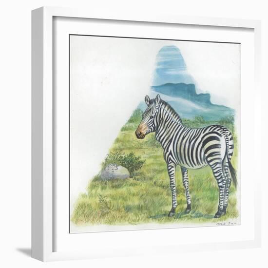 Mountain Zebra Equus Zebra-null-Framed Giclee Print