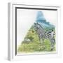 Mountain Zebra Equus Zebra-null-Framed Giclee Print