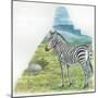 Mountain Zebra Equus Zebra-null-Mounted Giclee Print