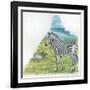 Mountain Zebra Equus Zebra-null-Framed Giclee Print