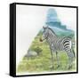 Mountain Zebra Equus Zebra-null-Framed Stretched Canvas