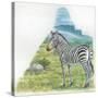 Mountain Zebra Equus Zebra-null-Stretched Canvas