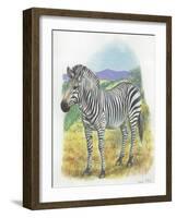 Mountain Zebra Equus Zebra-null-Framed Giclee Print