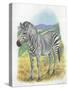 Mountain Zebra Equus Zebra-null-Stretched Canvas