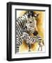 Mountain Zebra-Barbara Keith-Framed Premium Giclee Print