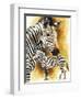 Mountain Zebra-Barbara Keith-Framed Premium Giclee Print