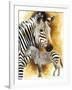 Mountain Zebra-Barbara Keith-Framed Giclee Print