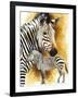 Mountain Zebra-Barbara Keith-Framed Giclee Print