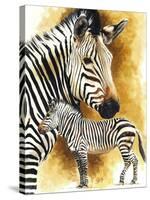 Mountain Zebra-Barbara Keith-Stretched Canvas