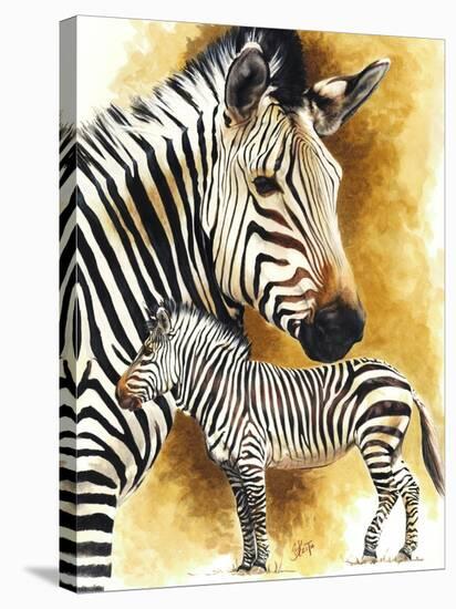 Mountain Zebra-Barbara Keith-Stretched Canvas
