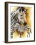 Mountain Zebra-Barbara Keith-Framed Giclee Print