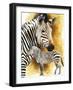 Mountain Zebra-Barbara Keith-Framed Giclee Print
