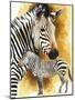 Mountain Zebra-Barbara Keith-Mounted Giclee Print