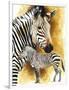 Mountain Zebra-Barbara Keith-Framed Premium Giclee Print