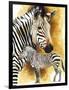 Mountain Zebra-Barbara Keith-Framed Premium Giclee Print