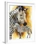 Mountain Zebra-Barbara Keith-Framed Giclee Print