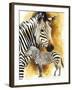 Mountain Zebra-Barbara Keith-Framed Giclee Print