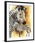 Mountain Zebra-Barbara Keith-Framed Giclee Print