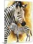 Mountain Zebra-Barbara Keith-Mounted Giclee Print