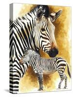 Mountain Zebra-Barbara Keith-Stretched Canvas