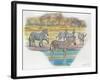 Mountain Zebras Equus Zebra-null-Framed Giclee Print