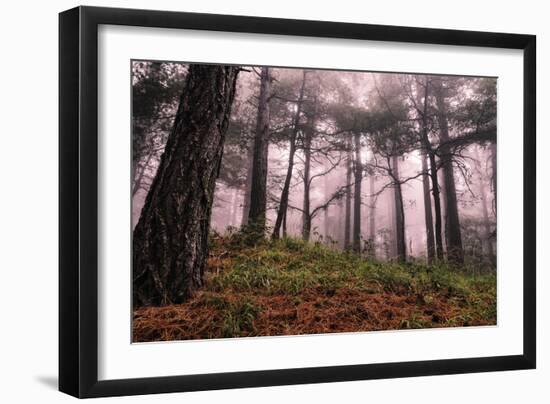 Mountain-Giuseppe Torre-Framed Photographic Print