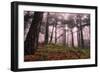 Mountain-Giuseppe Torre-Framed Photographic Print