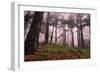 Mountain-Giuseppe Torre-Framed Photographic Print