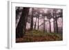 Mountain-Giuseppe Torre-Framed Photographic Print